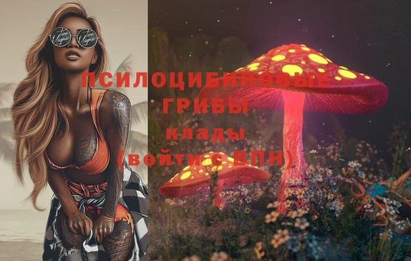 дмт Балахна