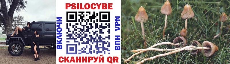 Псилоцибиновые грибы мицелий  Выборг 