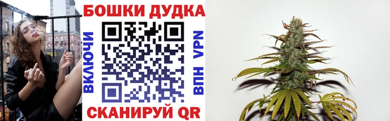 кракен как войти Выборг Бошки марихуана сатива